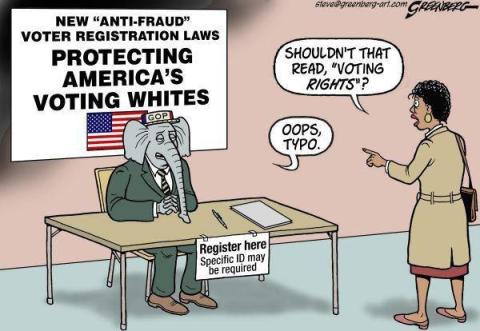 Southern elected officials take stands against voter ID Voter-fraud-cartoon-steve-greenberg-stevegreenberg-art-com